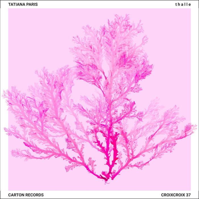 Tatiana Paris - t h a l l e - CROIXCROIX37